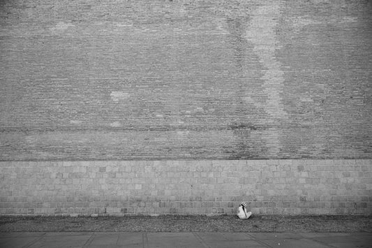 a black and white photo of a person sitting on a bench