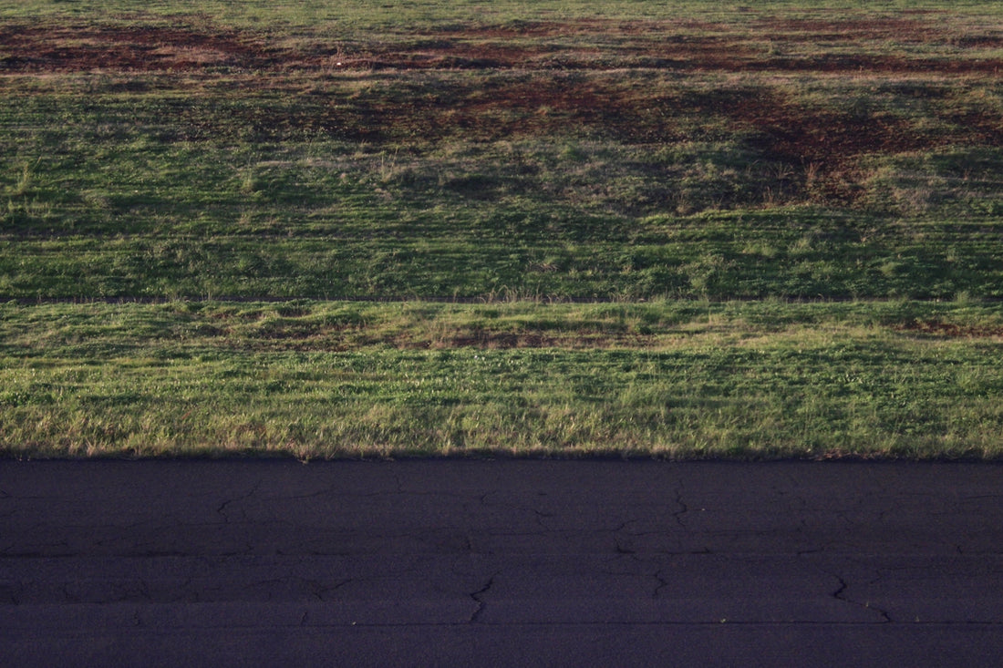 Green field next to a dark road.