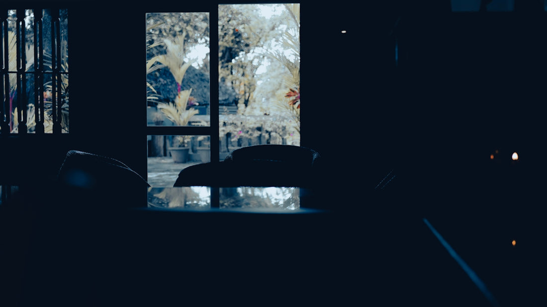 A dark room looking out at trees.