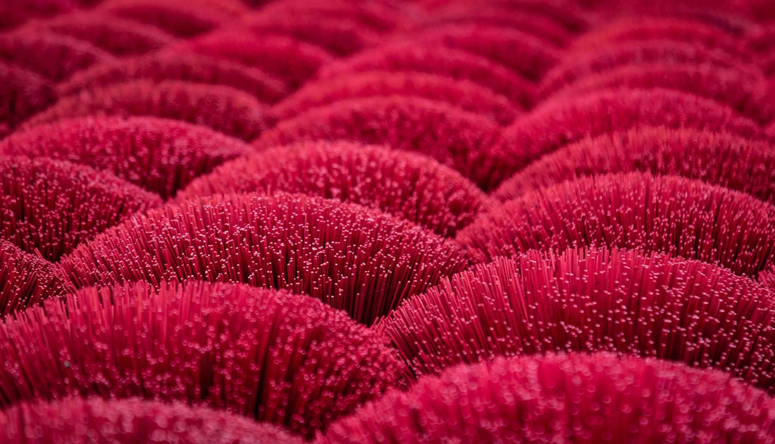 Close-up of fuzzy red textured rows.