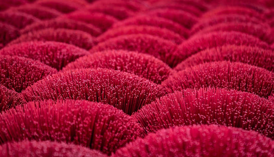 Close-up of fuzzy red textured rows.