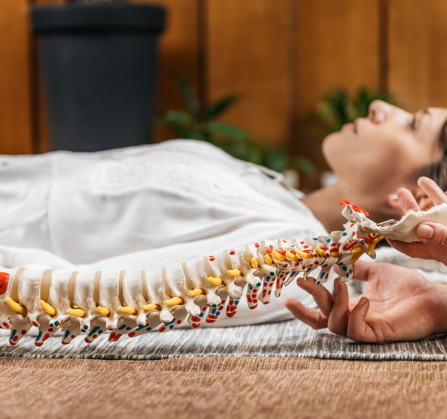 Flexible Spine Model for Chiropractic and Osteopathy Patient Education