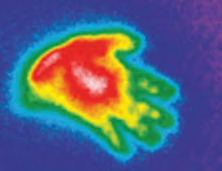Heat picture of a leading memory foam the moment a hand is lifted off it: a bright warm hand shape